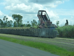 Loading cane from a field truck to a cane train